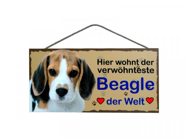Holzschild - Hier wohnt der verwöhnteste Beagle der Welt - 25 x 12,5 cm