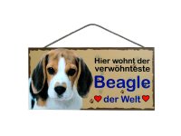 Holzschild - Hier wohnt der verwöhnteste Beagle der...
