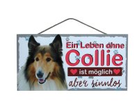 Holzschild - Ein Leben ohne Collie ist sinnlos - 25 x...