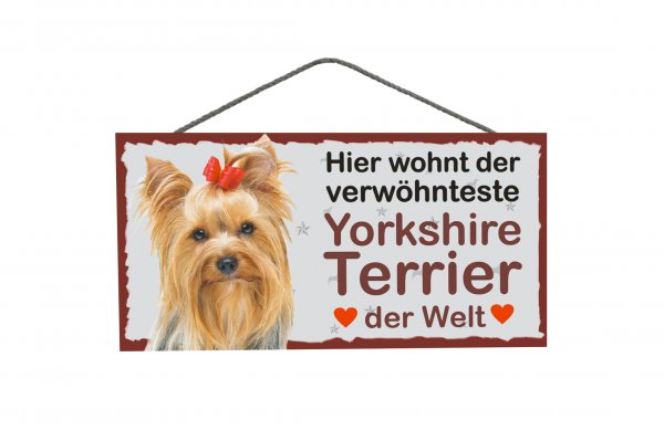 Holzschild - Hier wohnt der verwöhnteste Yorkshire Terrier (Schleife)- 25 x 12,5 cm