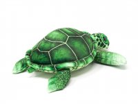 Cornelissen - Kuscheltier - Meeresschildkröte grün - 25 cm