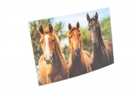 3D Postkarte Pferde braun