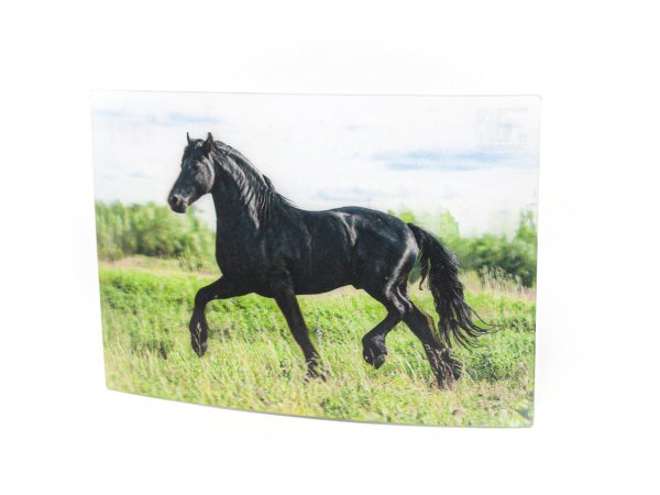3D Postkarte Pferd schwarz