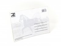 3D Postkarte Pferd schwarz