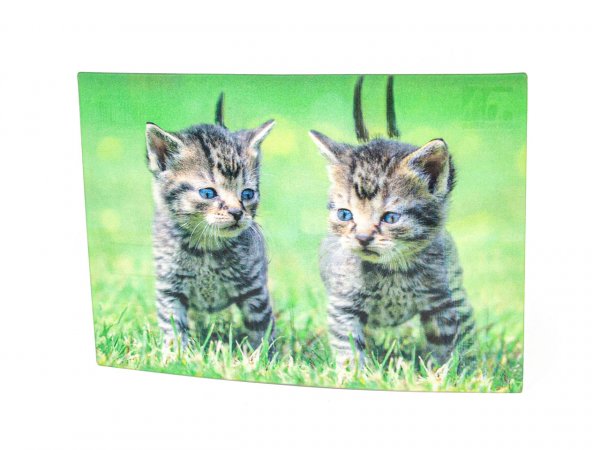 3D Postkarte Kätzchen