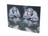 3D Postkarte Schimpansen