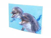 3D Postkarte Delfine
