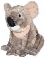 Wild Republic - Kuscheltier - Cuddlekins -  Koala