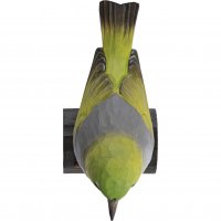 DecoBird - Graumantel-Brillenvogel