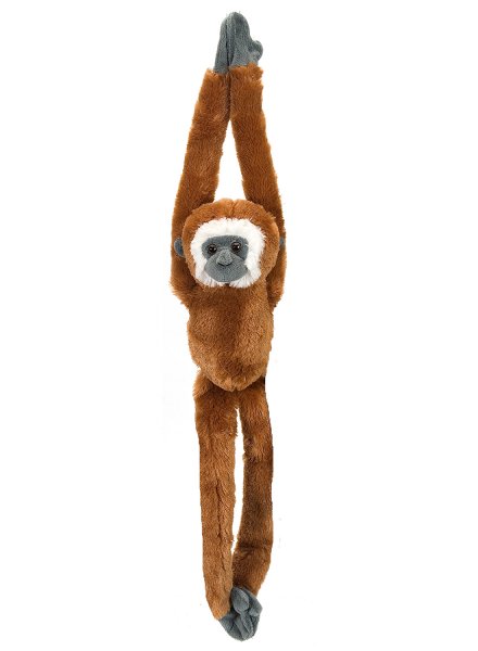Affe Vibe Grün Wild Republic Hanging Monkey 