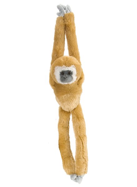 Wild Republic - Kuscheltier - Hanging Monkey - Weißhandgibbon