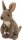Wild Republic - Kuscheltier - Cuddlekins Mini - Känguru mit Baby
