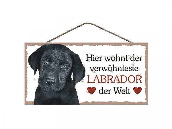 Holzschild - Hier wohnt der verwöhnteste Labrador der Welt - 25 x 12,5 cm