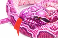 Kuscheltier - Schlange Pink Python - 150 cm