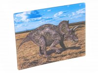 3D Magnet Triceratops