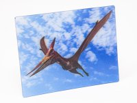 3D Magnet Pteranodon