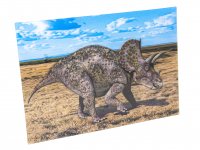 3D Postkarte Triceratops