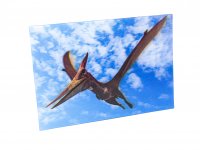 3D Postkarte Pteranodon