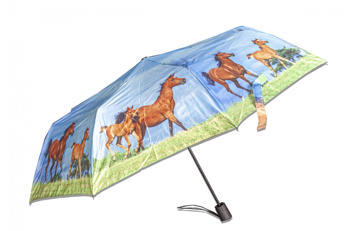 Regenschirm - Pferde