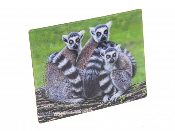 3D Magnet Lemuren