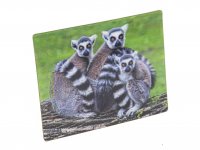 3D Magnet Lemuren