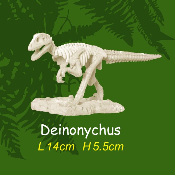 Ausgrabungsset - Dinoskelett M - Deinonychus