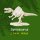 Ausgrabungsset - Dinoskelett M - Spinosaurus