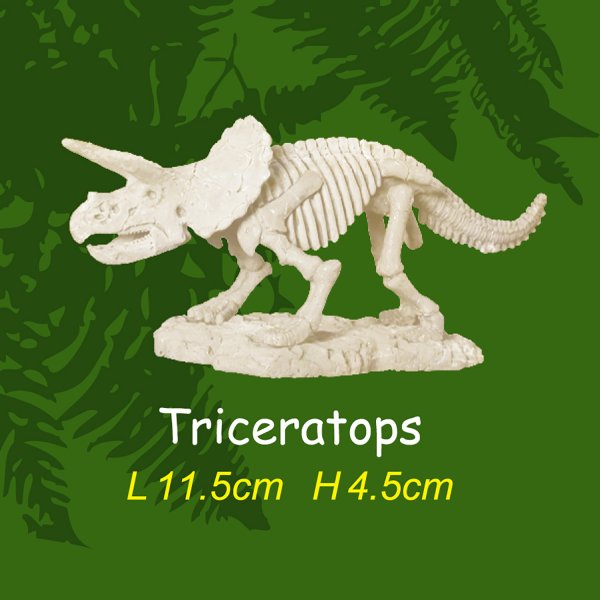 Ausgrabungsset - Dinoskelett M - Triceratops