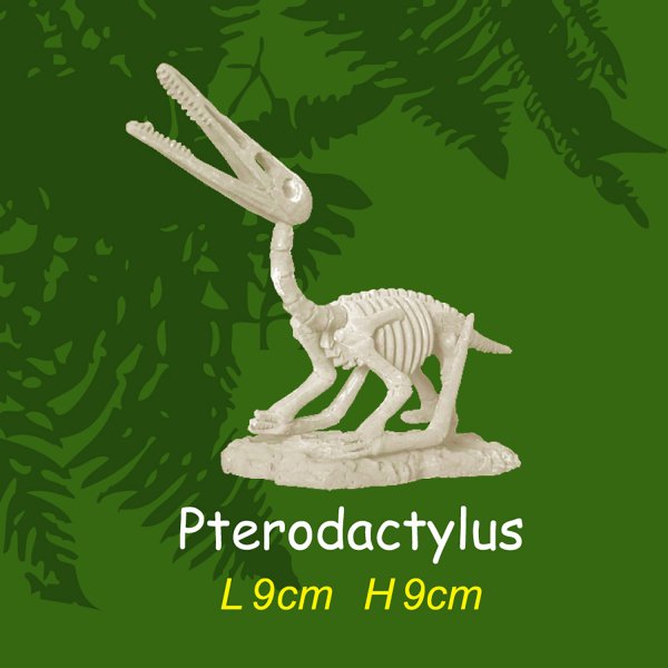 Ausgrabungsset - Dinoskelett M - Pterodactylus