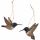DecoBird - Schwarzkinnkolibri - Paar