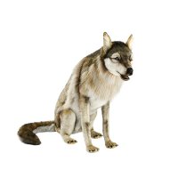 Hansa Creation - XXL Stofftier -  Wolf sitzend 105cm