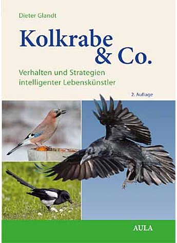 Kolkrabe und Co.