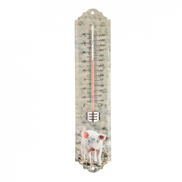 Thermometer Farmtiere Ferkel
