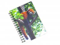 3D Notizbuch -  roter Panda- klein