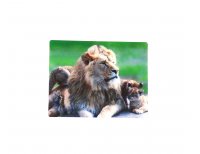 3D Magnet Löwen Familie