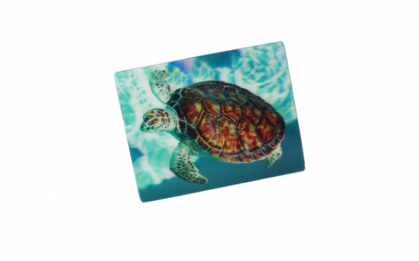 3D Magnet Meeresschildkröte