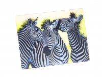 3D Magnet Zebras