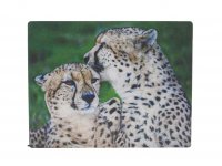 3D Magnet Gepard