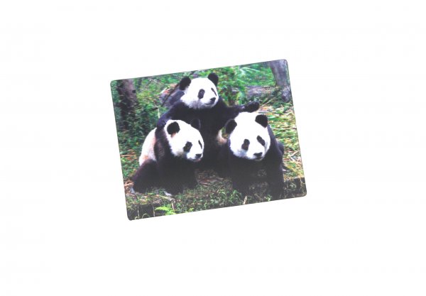 3D Magnet Panda Familie