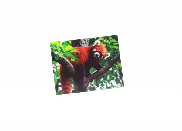 3D Magnet Roter Panda