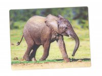 3D Magnet Elefantenbaby