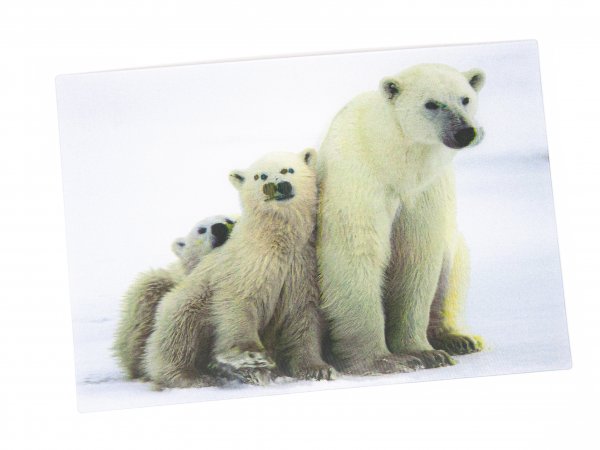 3D Postkarte Eisbär Familie
