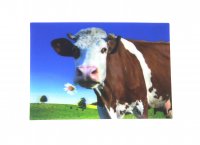 3D Postkarte Kuh