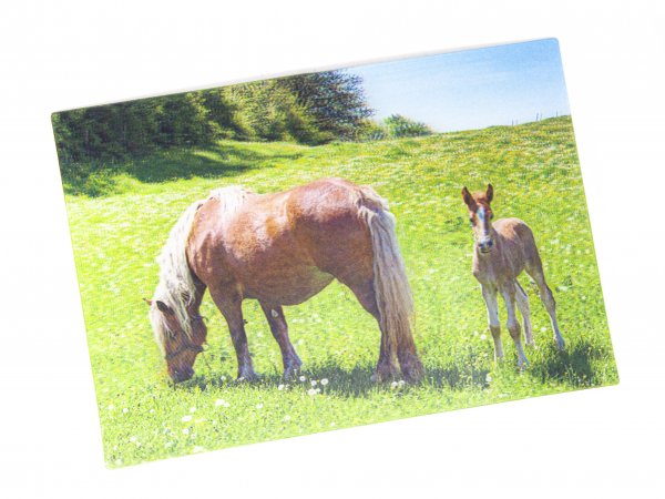 3D Postkarte Pferde Haflinger