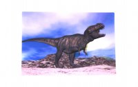 3D Postkarte Tyrannosaurus Rex