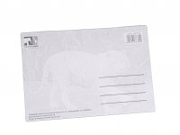 3D Postkarte weißer Tiger