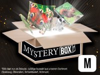 Mystery Box M 40,00 €