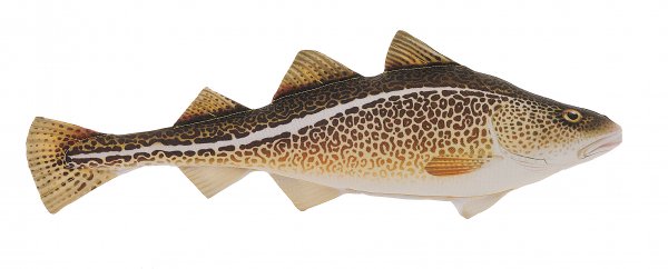 GABY fish pillows - Kissen - Dorsch - 32 cm