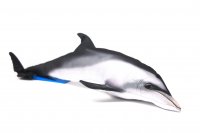 Gabyfishpillows - Kuscheltier - Delfin - 55 cm