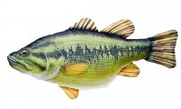 GABY fish pillows - Kissen - Forellenbarsch - 67 cm